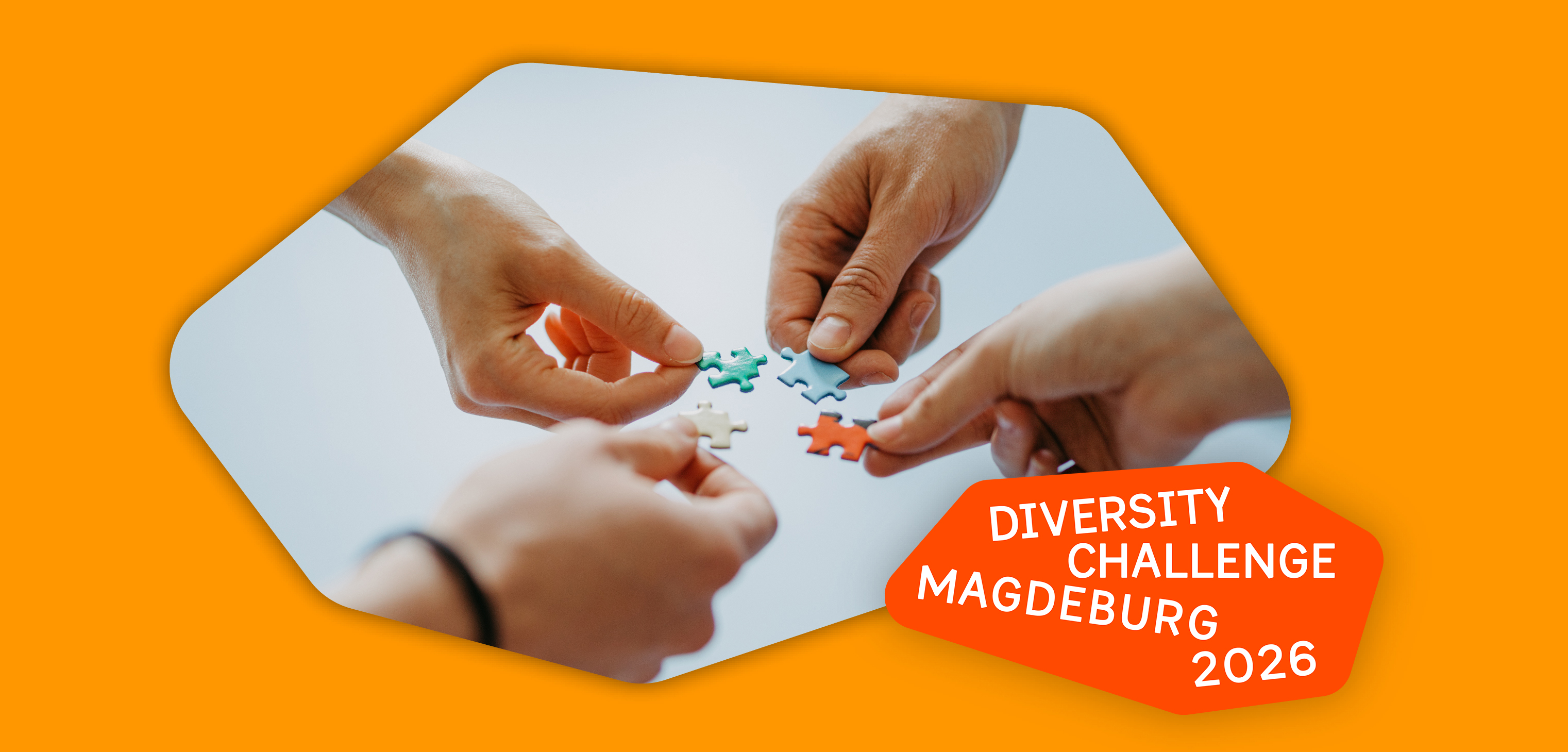 Diversity Challenge Magdeburg